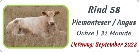 Rind 58 | Mein BioRind
