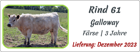 Rind 61 | Mein BioRind
