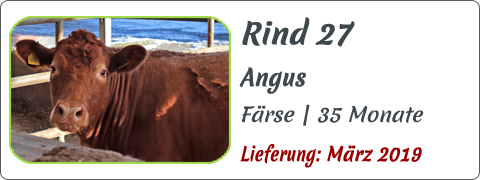 Rind 27 | Mein BioRind