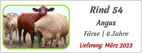 Rind 54 | Mein BioRind