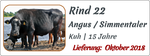 Rind 22 | Mein BioRind