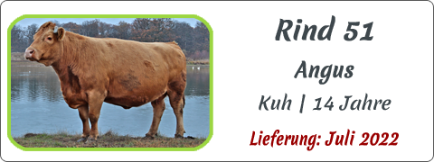 Rind 51 | Mein BioRind