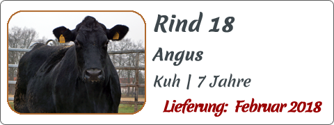 Rind 18 | Mein BioRind