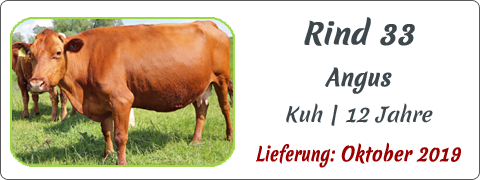 Rind 33 | Mein BioRind