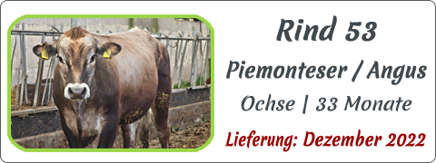 Rind 53 | Mein BioRind