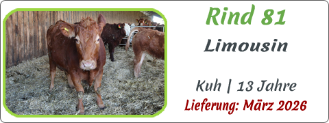 Rind 81 | Mein BioRind