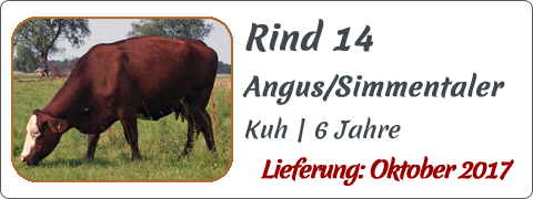 Rind 14 | Mein BioRind