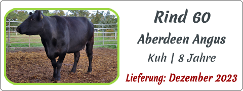 Rind 60 | Mein BioRind