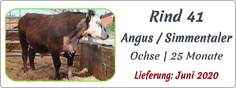 Rind 41 | Mein BioRind