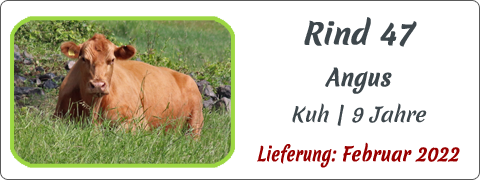 Rind 47 | Mein BioRind