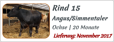Rind 15 | Mein BioRind
