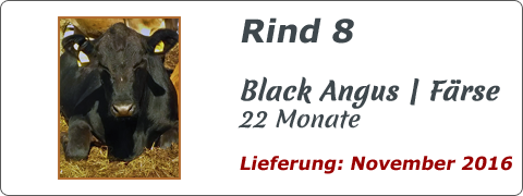 Rind 8