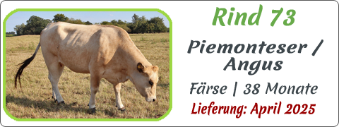 Rind 73 | Mein BioRind