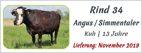Rind 34 | Mein BioRind