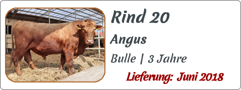 Rind 20 | Mein BioRind