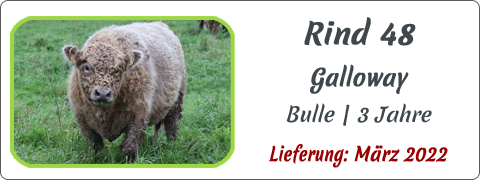 Rind 48 | Mein BioRind