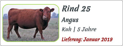 Rind 25 | Mein BioRind