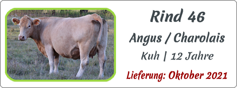 Rind 46 | Mein BioRind