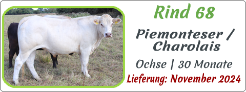Rind 68 | Mein BioRind