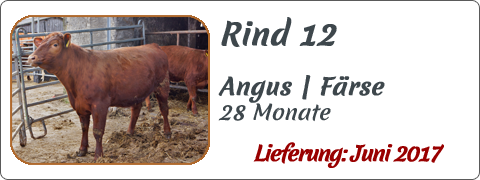 Rind 12 | Mein BioRind
