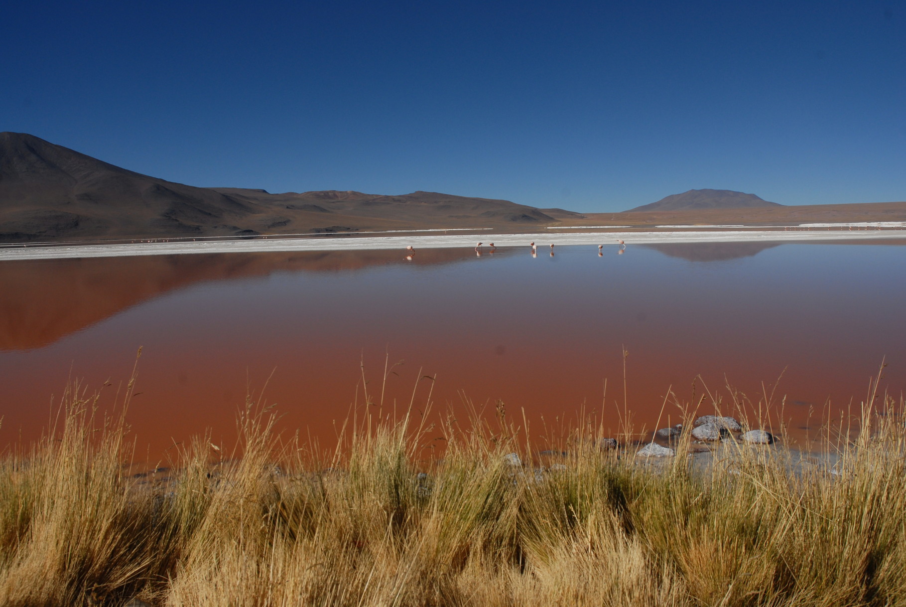 Die Laguna Colorada