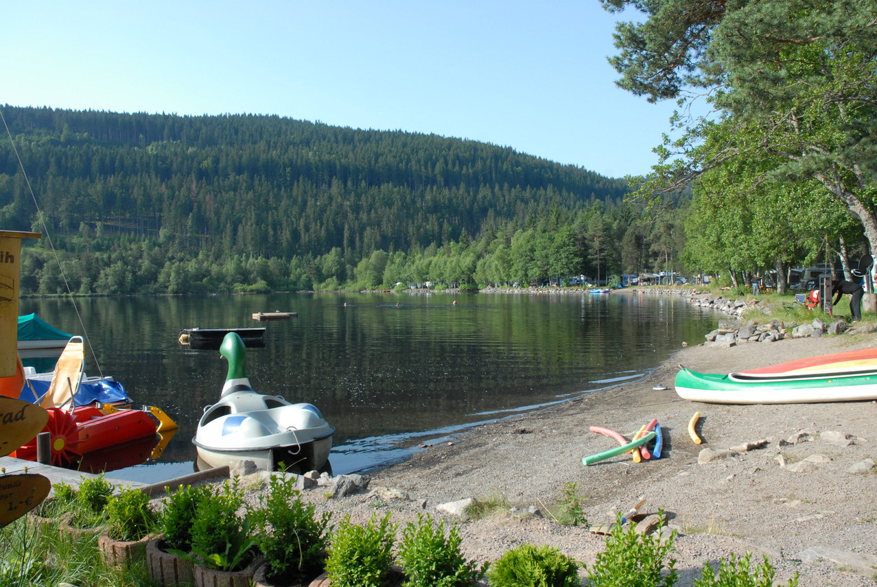 Titisee Beach