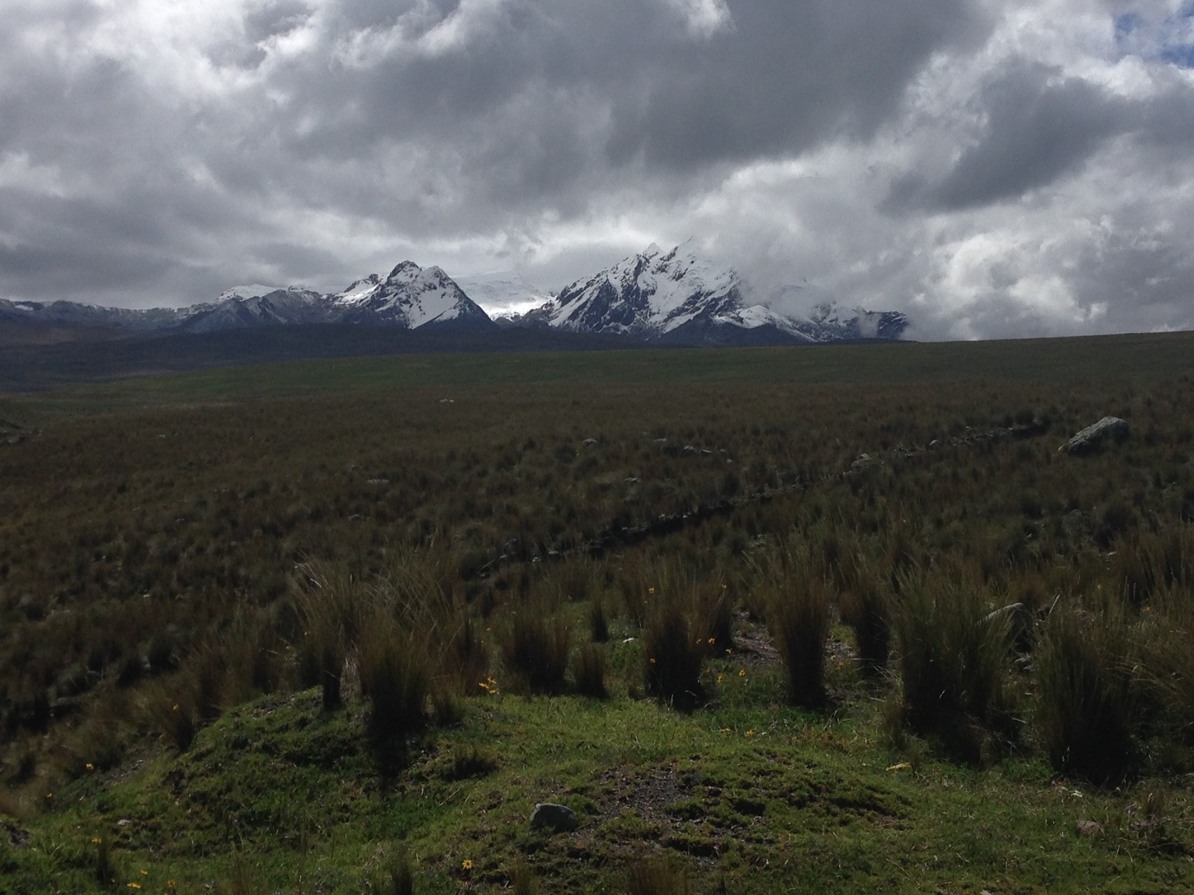 Blick auf die Sechstausender der Cordillera Blanca