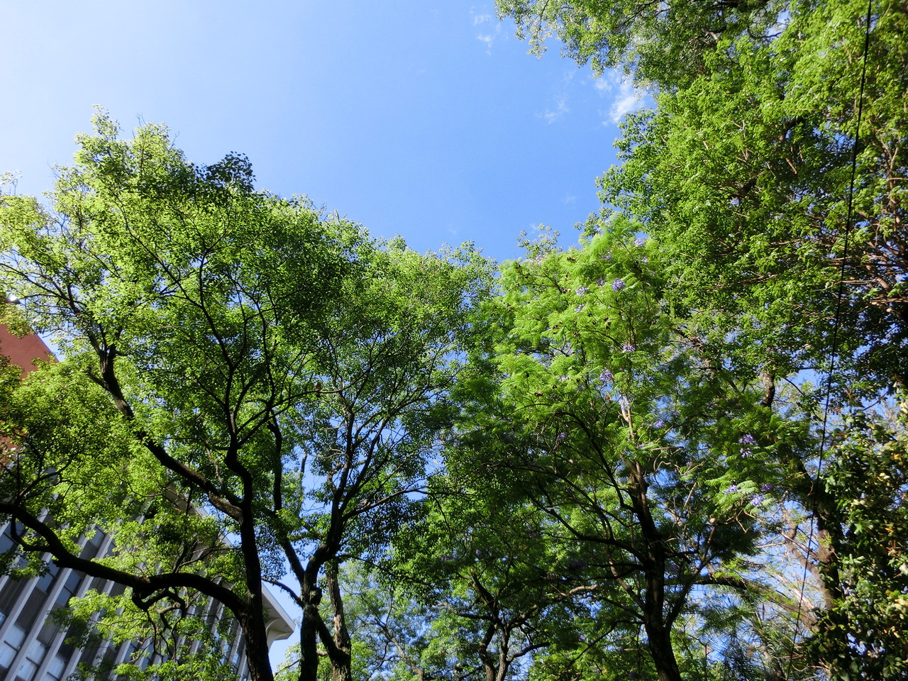 Entspannung im Park