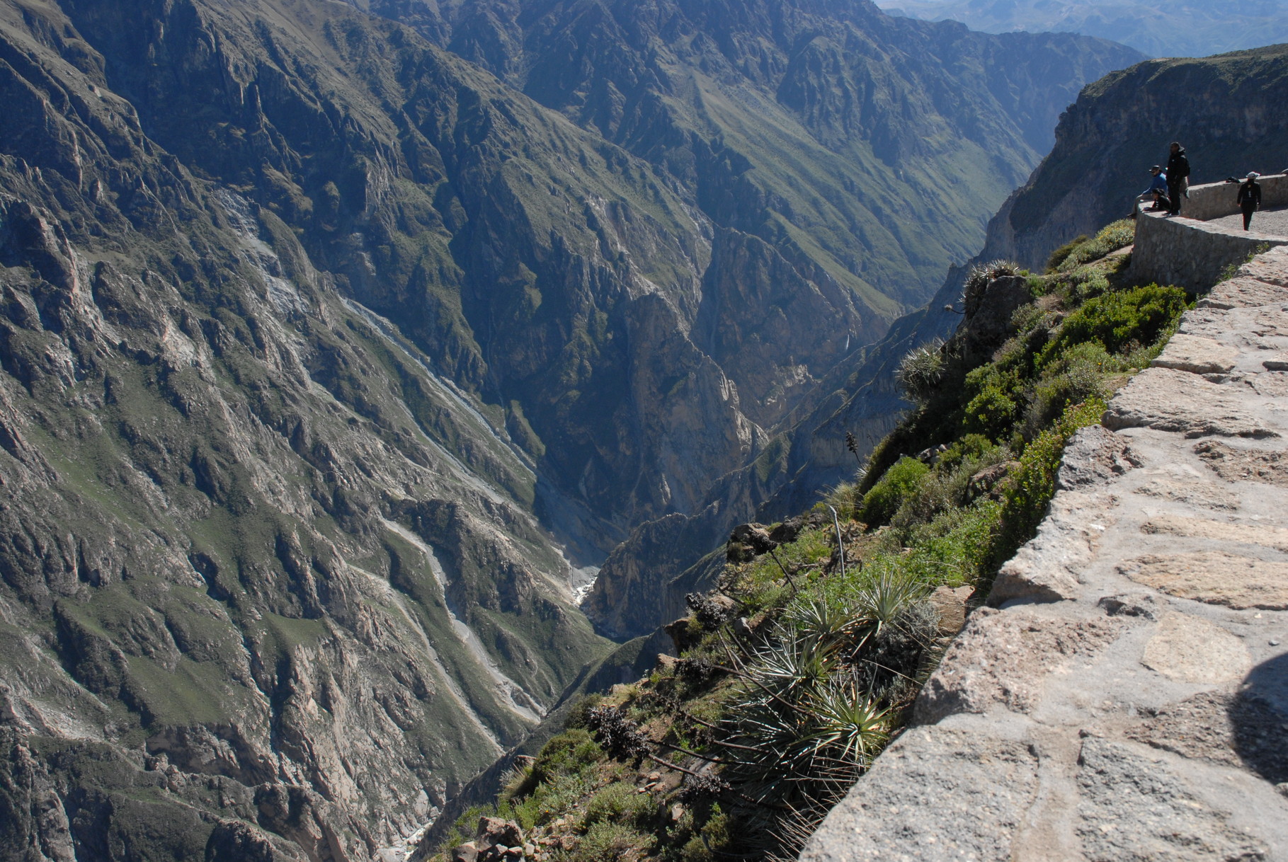 Ein Blick in die Schlucht