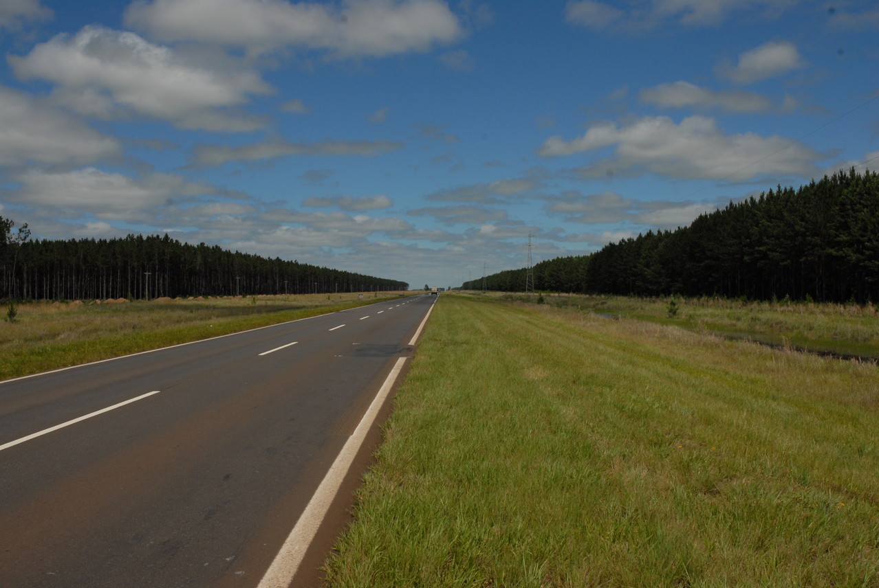 Kilometerlange Wälder