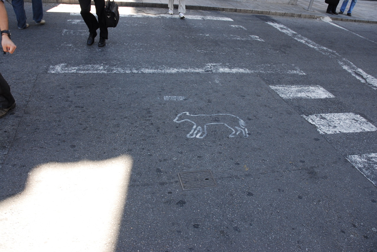 Hier müssen die Hunde über die Straße gehen ... und wehe die nehmen einen anderen Weg