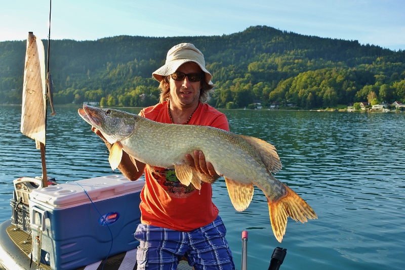 SUP fishing, SUPfishing, Pike, Hecht, Wörthersee, Hechtschleppen