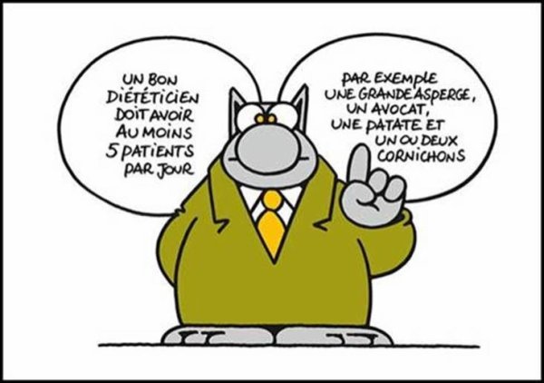 Le Chat ©Philippe Geluck