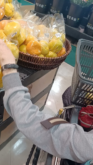 障がい・高齢者の等の独居生活者へのふくし
