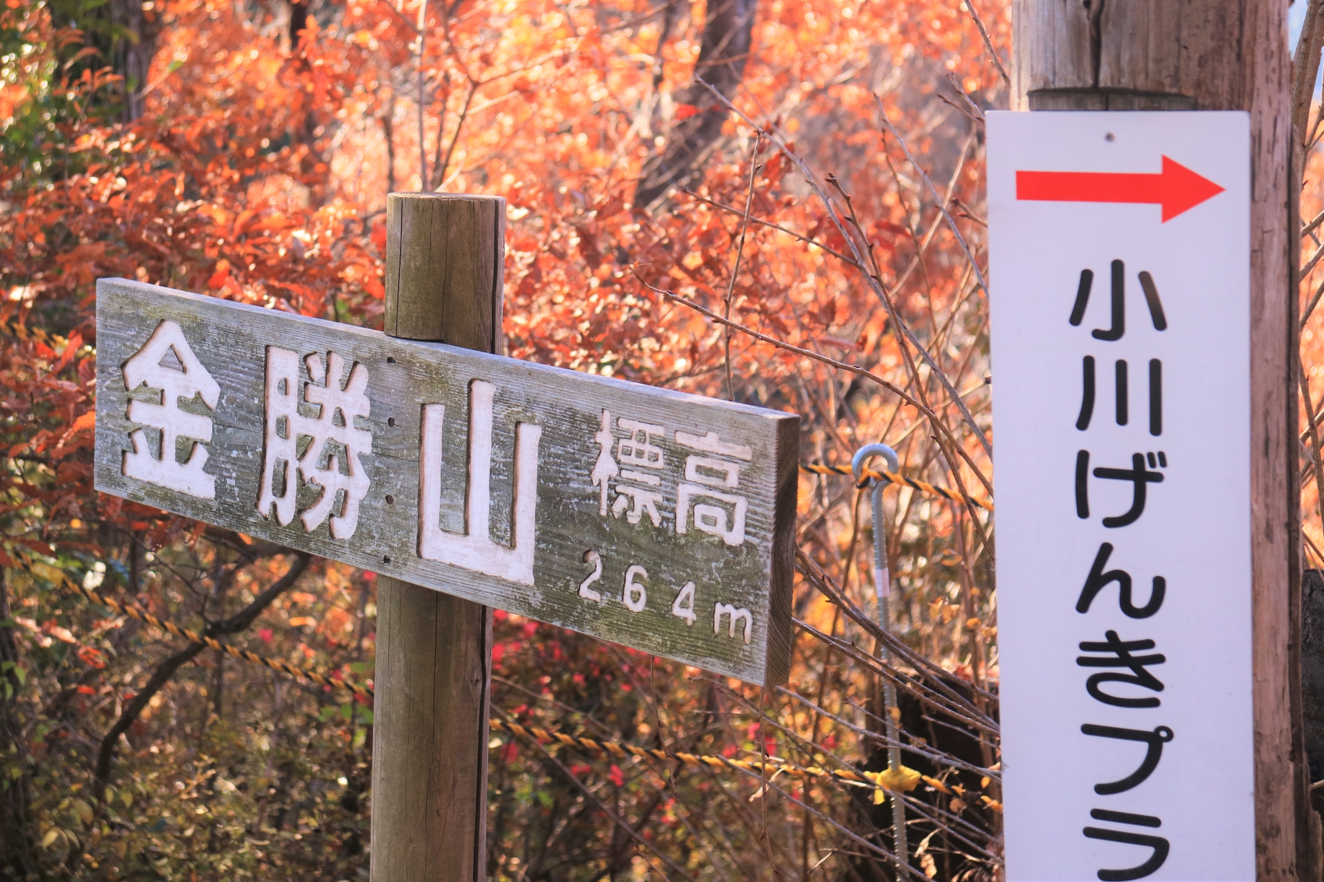【南関東散歩部】金勝山ハイキングを実施しました／ [South Kanto Walking Club] We Climbed Mt. Kinsho-zan