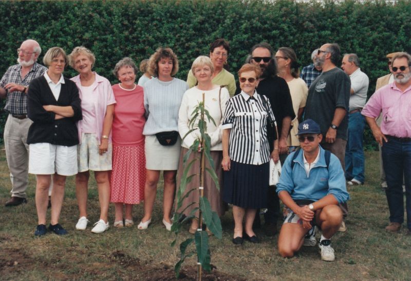 Plantation du châtaigner devant l'école