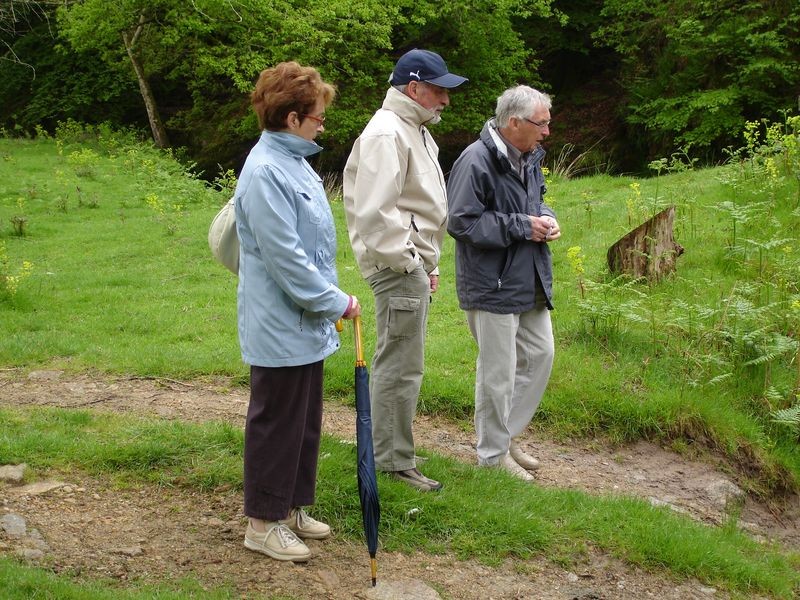 Promenade bucolique