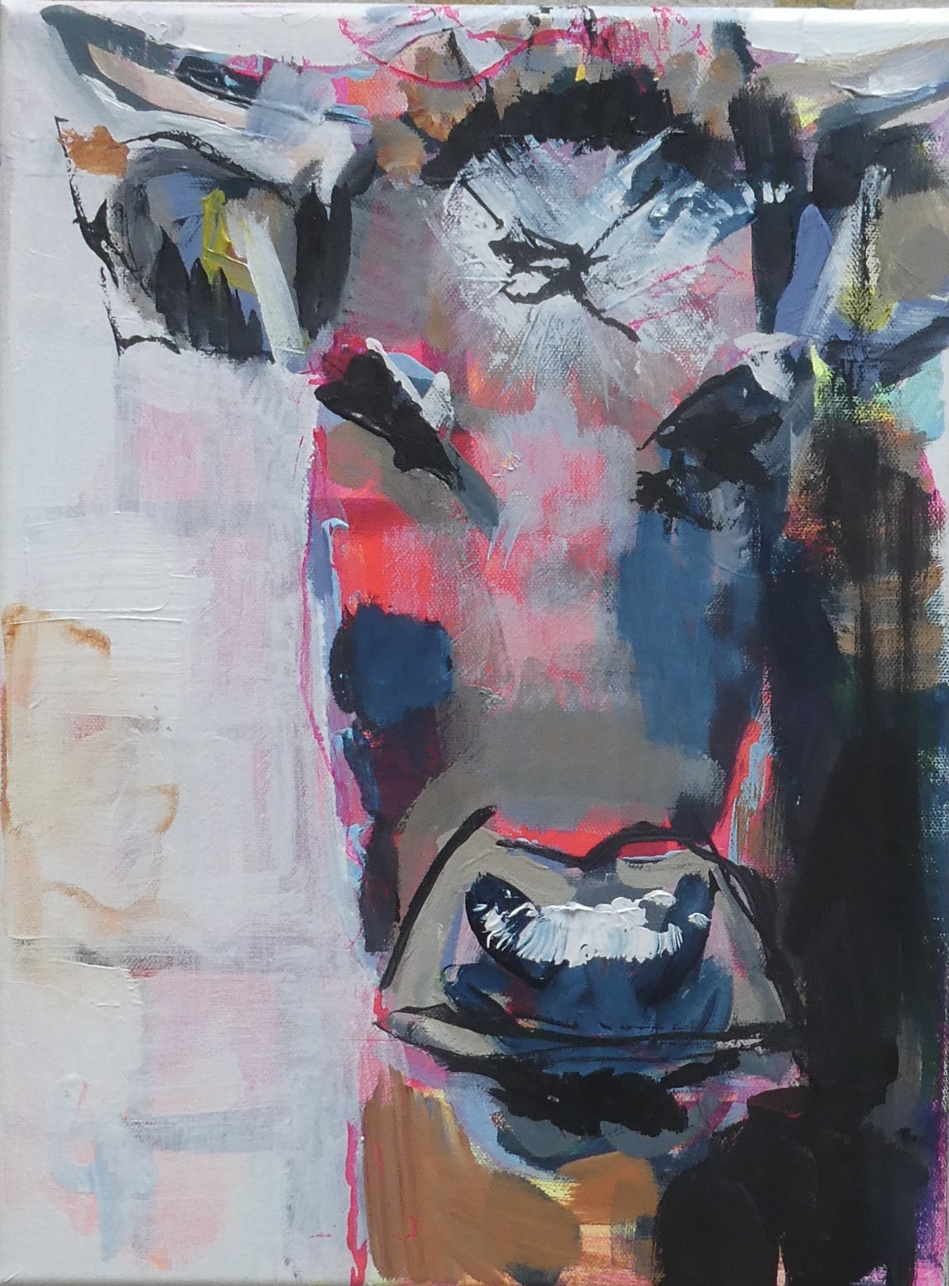 Retrato de vaca 4, 40x30, acrylic on canvas