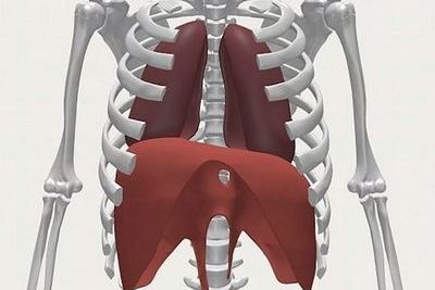 Le fonctionnement du diaphragme