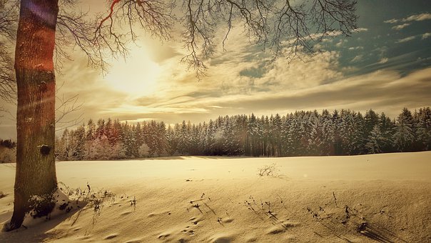 Paysage de rêve-https://www.facebook.com/aidantservices/