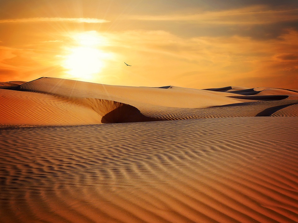 Desert-www.aidant-services.fr