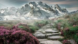 Brume montagne-Aidant-services.fr