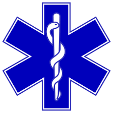 Logo Santé-Ambulancier-accompagnateur de voyage.Professionnel de santé.