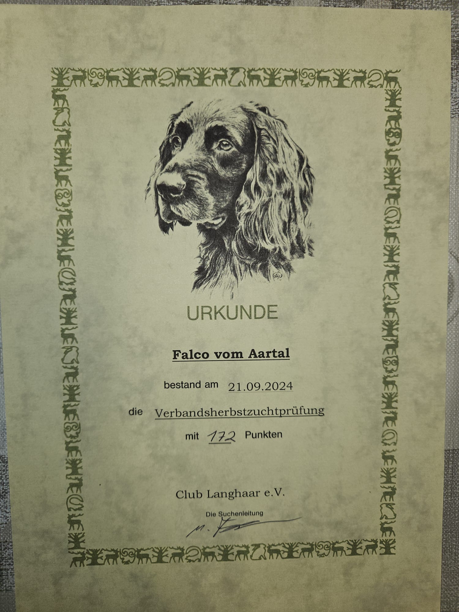 HZP Urkunde