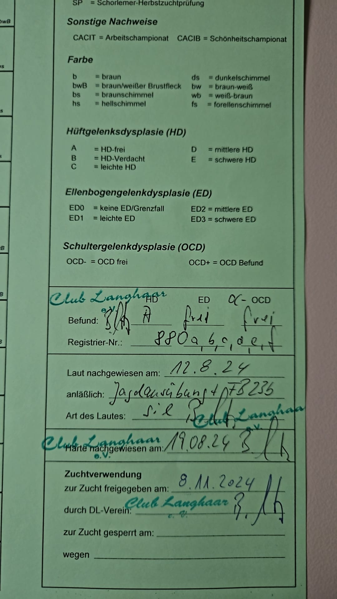 Zuchtzulassung Club Langhaar