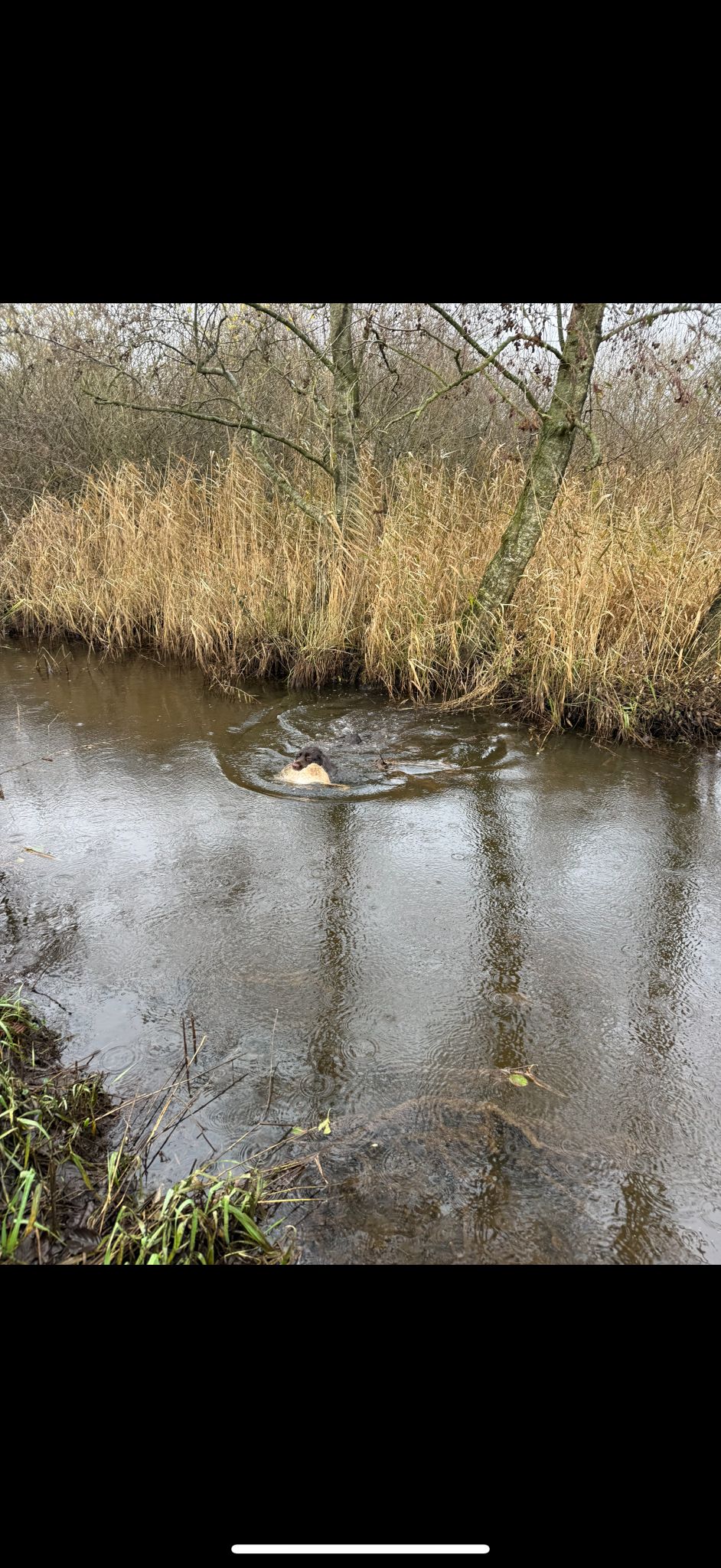 Cira mit "Wasserhasen"