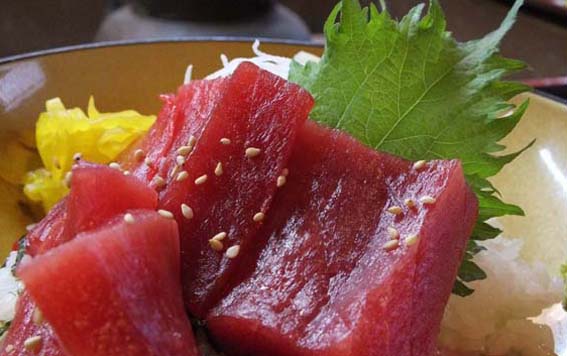 本店 ランチ(拡大)
