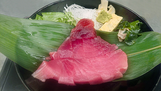 三崎直送　マグロの断面刺身定食