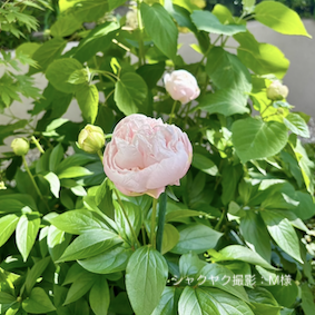 2年後の嬉しいご報告