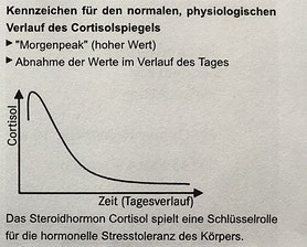 Cortisol Tagesverlauf